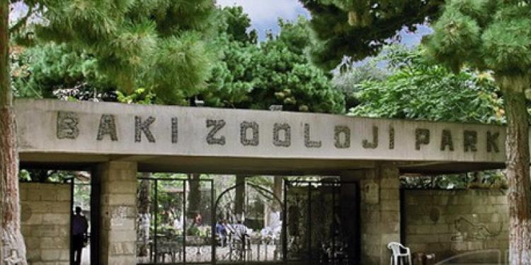 Bakı Heyvanat Parkı tender – ELAN EDİB | FED.az