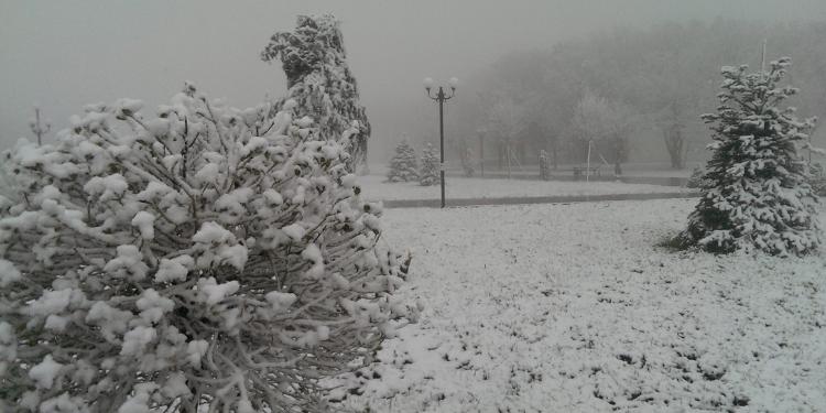 Bakıya qar yağacaq - HAVA PROQNOZU | FED.az