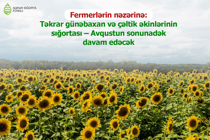 Fermerlərin nəzərinə: Təkrar günəbaxan və çəltik əkinlərinin sığortası – Avqustun sonunadək  davam edəcək | FED.az