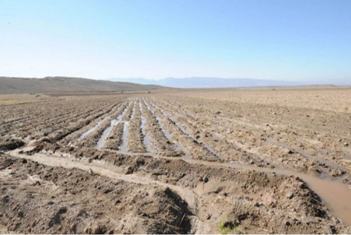 İvanovkada əkin sahələrinin su təminatı üçün 7,6 milyon manat xərclənəcək - TENDER NƏTİCƏSİ | FED.az