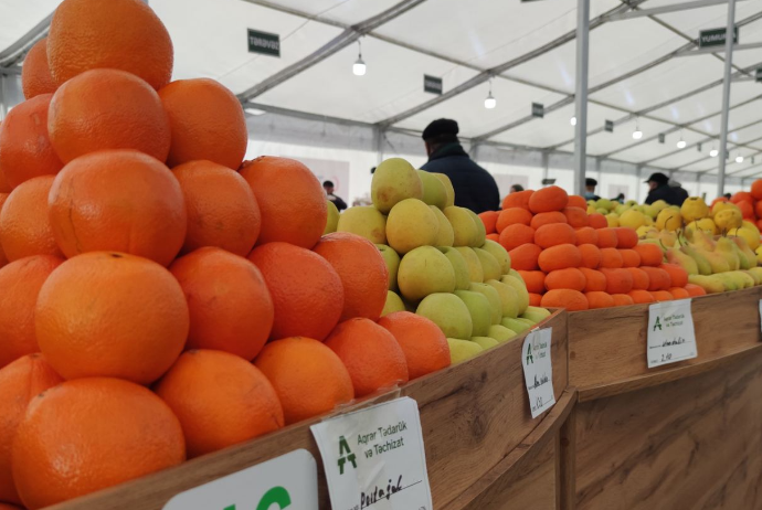 Bakıda "Kənddən Şəhərə" Yeni il yarmarkası keçirilir | FED.az