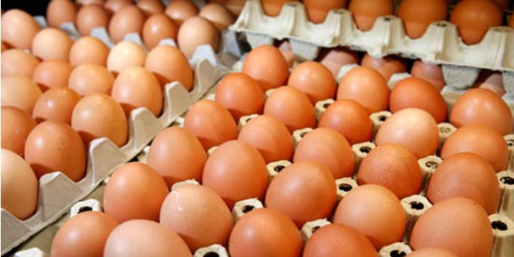 Sabah istehsal olunacaq yumurta bu gün satışa çıxarıldı - ARAŞDIRMA BAŞLADI | FED.az