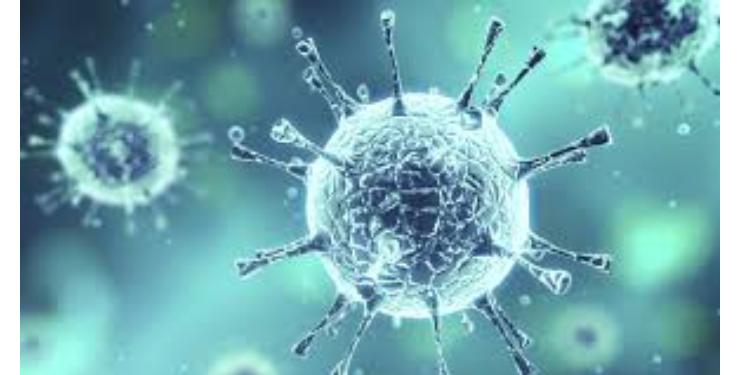 Шотландские ученые назвали вирусы, способные вызвать пандемию | FED.az