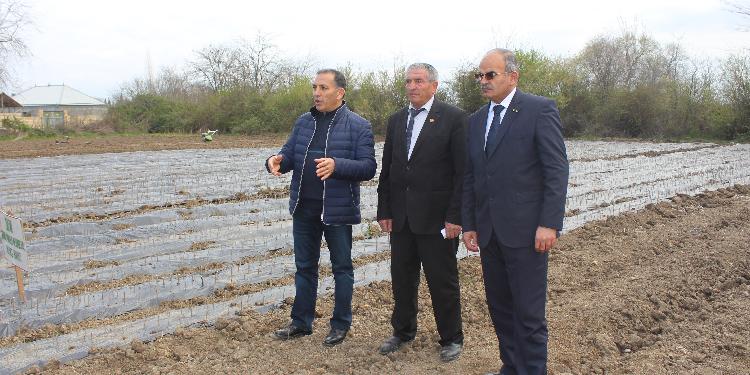 Azərbaycanda Çin texnologiyası ilə - YENİ TƏSƏRRÜFAT YARADILIB | FED.az