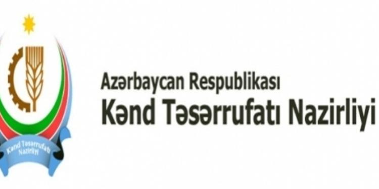 Nazirlik çağrı mərkəzi üçün TENDER ELAN EDİR | FED.az