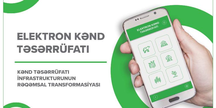 Bu günədək 12 700-ə yaxın fermer elektron kənd təsərrüfatı informasiya sistemində qeydiyyatdan keçib | FED.az