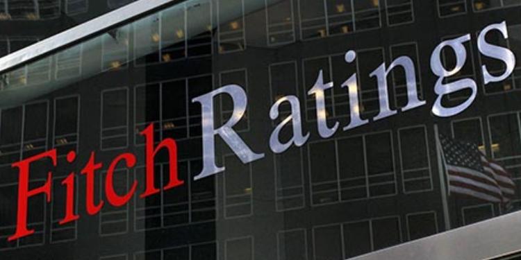 “Fitch Ratings”: Azərbaycanda dollarlaşma - HƏLƏ DƏ YÜKSƏKDİR | FED.az