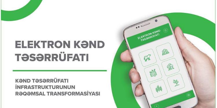 Elektron Kənd Təsərrüfatı İnformasiya Sistemində qeydiyyatdan keçmiş fermerlərin sayı 47 mini üstələyib | FED.az