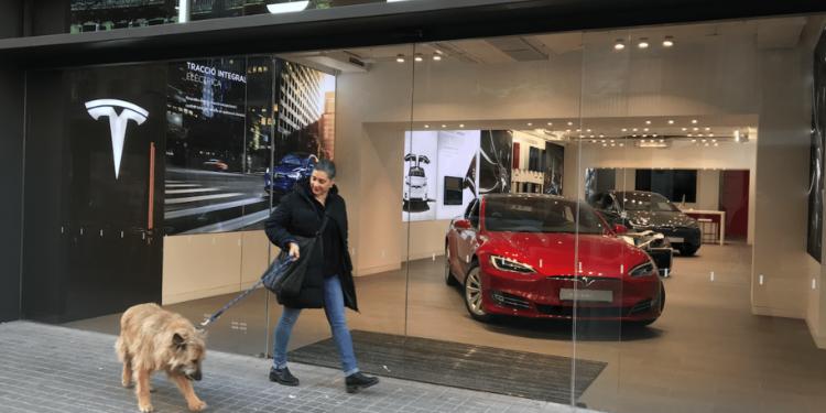 “Tesla”nın xalis zərəri 700 milyon dollardan çox olub | FED.az