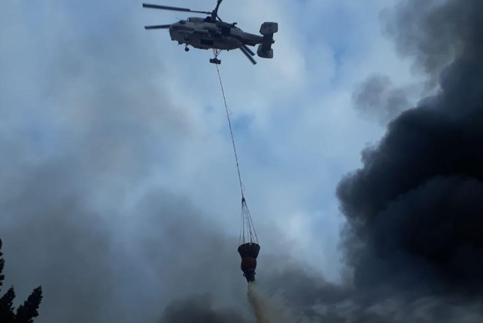 Masallıda yanğının söndürülməsinə 2 helikopter - CƏLB OLUNUB | FED.az