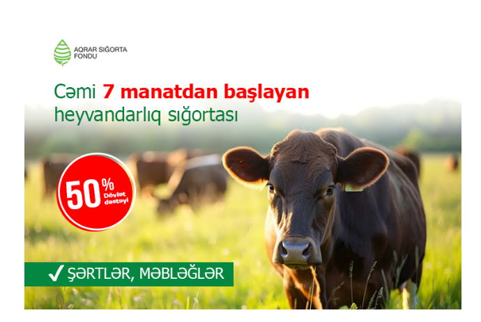 İnəyi 24 manata, qoyunu 7 manata sığortalamaq olar – ŞƏRTLƏR, MƏBLƏĞLƏR | FED.az