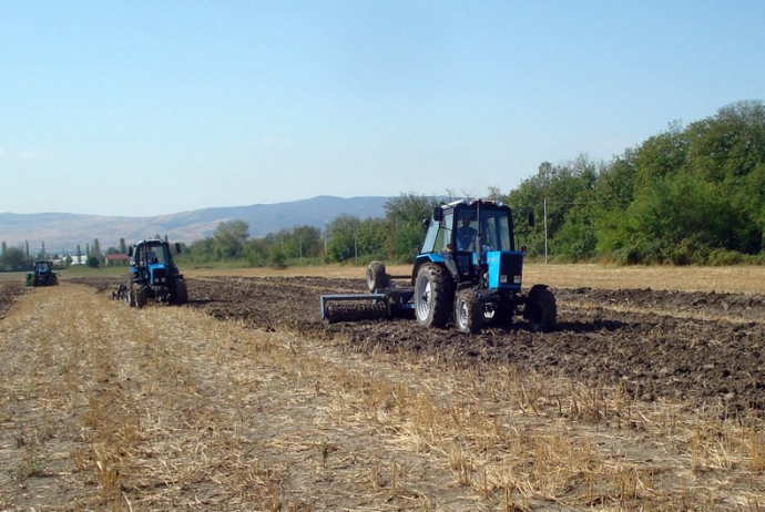 Mülkiyyətindəki torpaqlarda çalışanlar üçün sosial sığorta haqları artırılacaq | FED.az