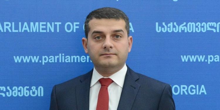 Azərbaycanlı deputat Gürcüstan Dövlət Konstitusiya Komissiyasının tərkibinə daxil edilib | FED.az