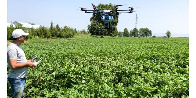 Azərbaycanda ilk dəfə olaraq dron vasitəsi ilə - KİMYƏVİ MÜBARİZƏ APARILIB | FED.az