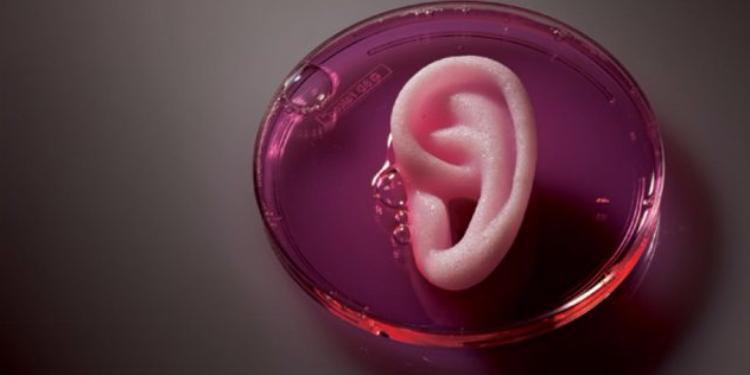 Китайские врачи вырастили ухо на руке пациента | FED.az