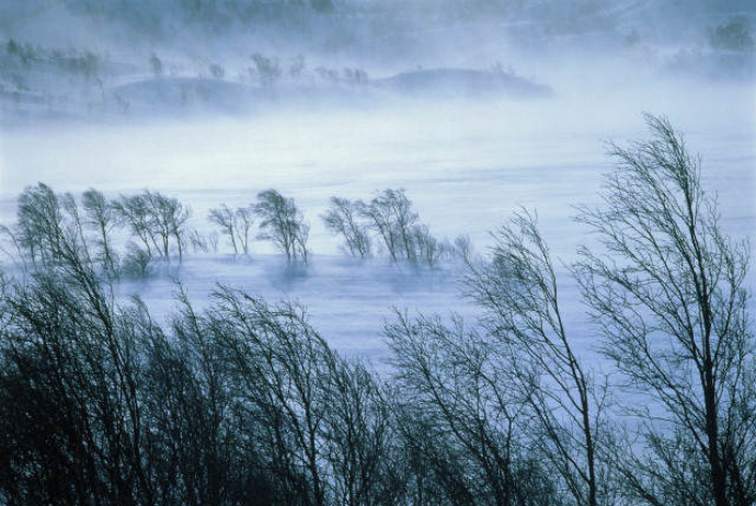 Bəzi yerlərdə külək güclənəcək - XƏBƏRDARLIQ | FED.az