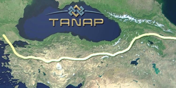 MIGA TANAP-a 1,2 mlrd. dollarlıq zəmanət verib | FED.az
