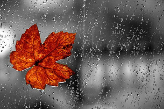 Bəzi ərazilərdə yağış yağacaq - SABAHIN HAVA PROQNOZU | FED.az