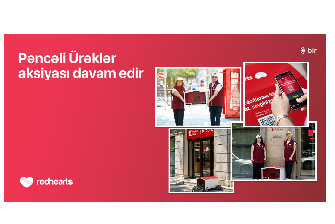 В рамках акции «Pəncəli Ürəklər» число домиков для бездомных животных достигло 35 | FED.az