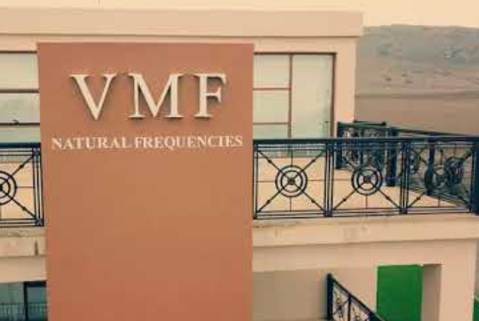 "VMF” Şirkəti yarımillik hesabatını açıqladı - RƏQƏMLƏR | FED.az