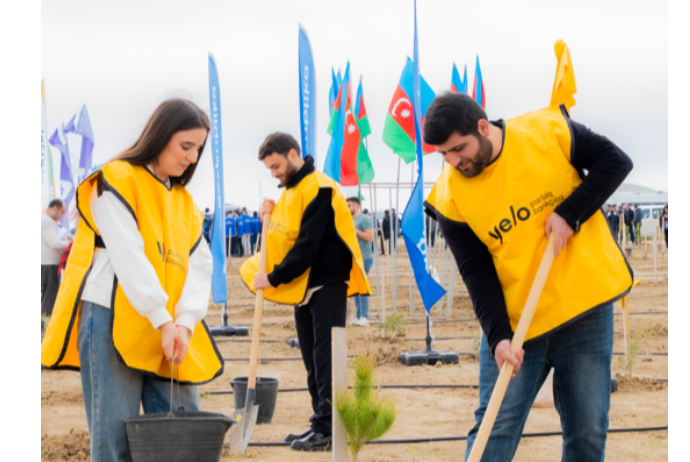 Yelo Bank поддерживает цель в 1 000 000 деревьев! | FED.az