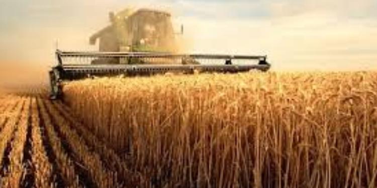 6 тенденций, которые будут управлять сельским хозяйством с 2017 года. | FED.az