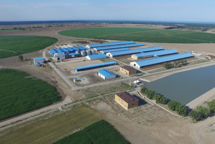 "Yalama Agropark" MMC işçi axtarır - MAAŞ 1000-1500 MANAT - VAKANSİYA | FED.az