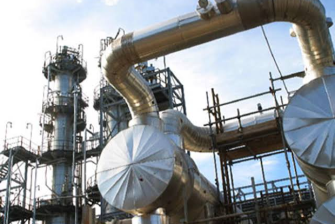 İdxalı azalda biləcək 2 milyon tonluq zavod planı | FED.az