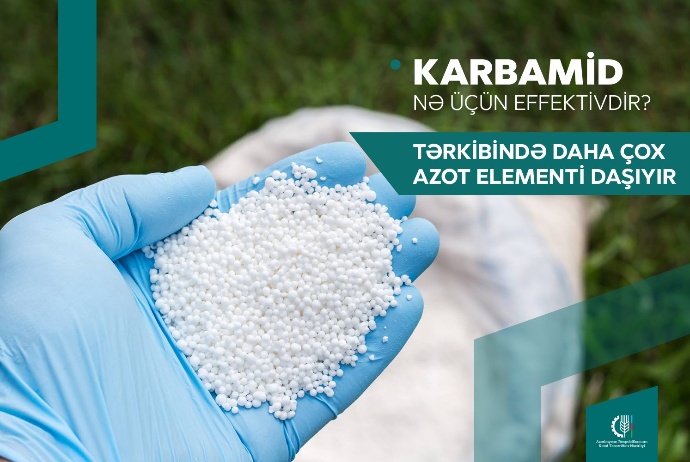 Karbamid gübrəsini necə düzgün istifadə etməli? - FERMERLƏRƏ TÖVSİYƏ | FED.az