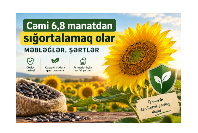 1000 manatlıq günəbaxan 6,8 manata sığortalanır – MƏBLƏĞLƏR, ŞƏRTLƏR | FED.az