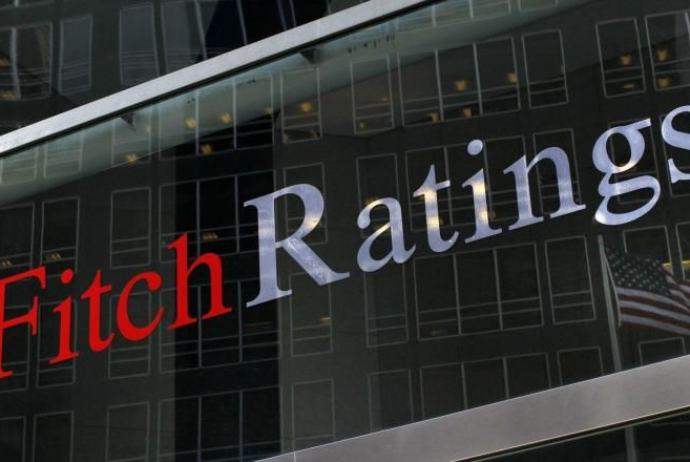 “Fitch”: Azərbaycanın valyuta ehtiyatları - 22% Azala Bilər | FED.az