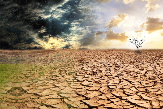 Azərbaycanda ilk dəfə: Əkin sahələrinin quraqlııqdan sığortasına hazırlıq başlayıb - MÜSAHİBƏ | FED.az