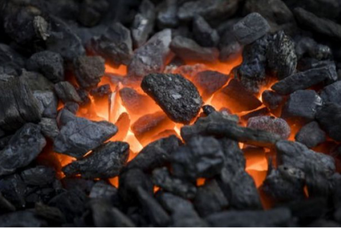 Tramp kömür enerjisinin inkişafı üçün 700 milyon dollar ayırmaq istəyir | FED.az