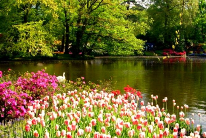 Aprel ayının - HAVA PROQNOZU | FED.az