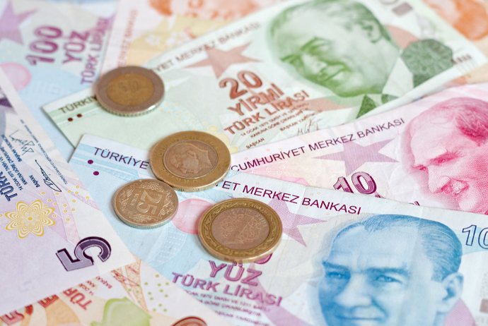 Турецкая лира снова обновила исторический минимум | FED.az