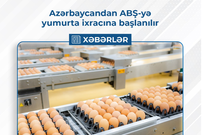 Azərbaycandan ABŞ-yə yumurta ixracına başlanılır | FED.az