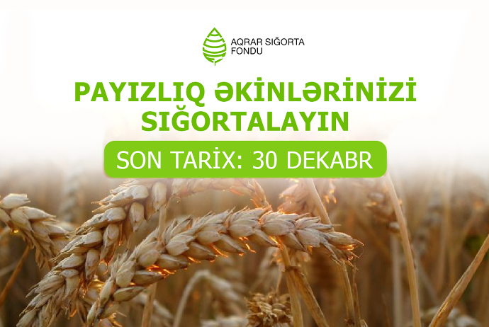 Fonddan fermerlərə müraciət: “Payızlıq əkinlərinizi dekabrın 30-dək sığortalayın” | FED.az