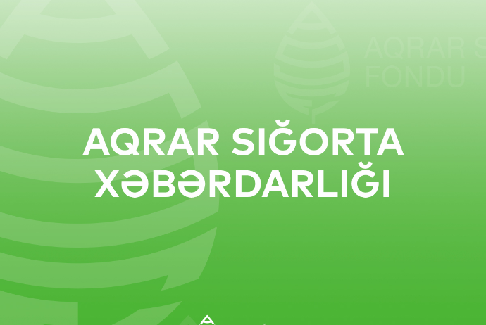 Aqrar Sığorta Fondundan fermerlərə xəbərdarlıq: Sığortasız əkin sahələri - Subsidiya Ala Bilməyəcək | FED.az