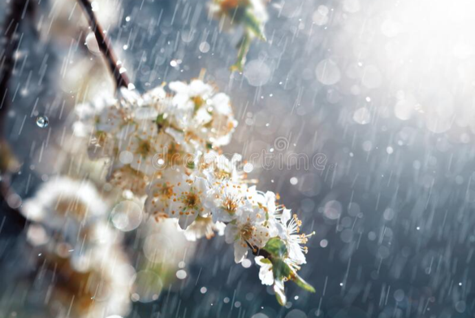 Bəzi yerlərdə yağış, dağlıq ərazilərdə isə qar yağacaq - XƏBƏRDARLIQ | FED.az