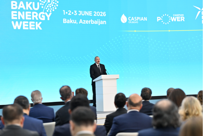 "Yaşıl enerji kabeli layihəsi üzərində işləyirik" | FED.az