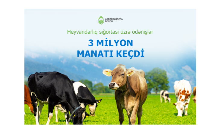 Heyvandarlıq sığortası üzrə ödənişlər - 3,2 MİLYON MANATI KEÇDİ | FED.az
