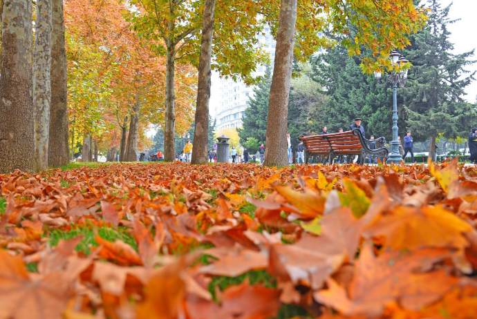 Noyabrın son bazar gününün - HAVA PROQNOZU | FED.az