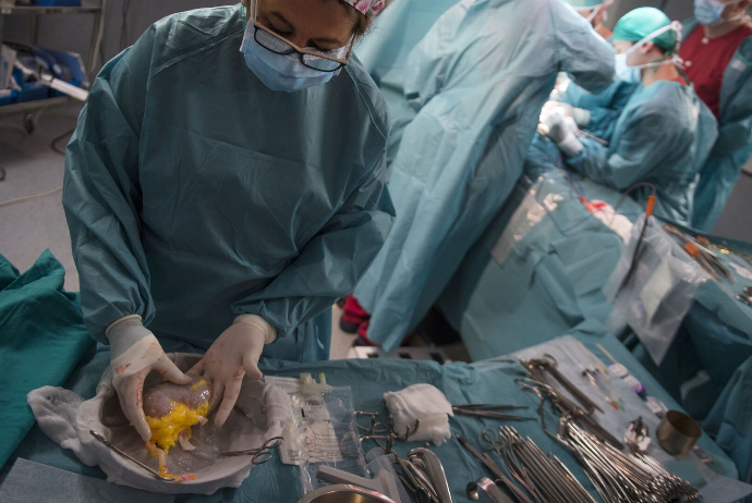 Azərbaycanda sümük iliyi köçürən klinikaların sayı artıb | FED.az