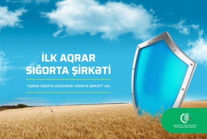 Aqrar Sığorta Müştərək Sığorta Şirkəti - HESABATINI AÇIQLADI | FED.az