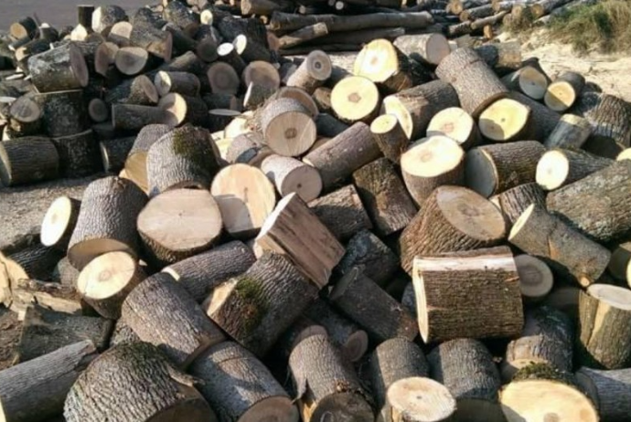 Azərbaycan ötən ay 27 milyon dollarlıq oduncaq və oduncaq malları alıb | FED.az