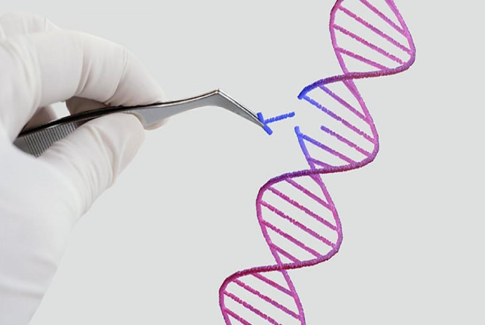 Azərbaycanda insanın klonu patent obyekt kimi qəbul edilməyəcək | FED.az