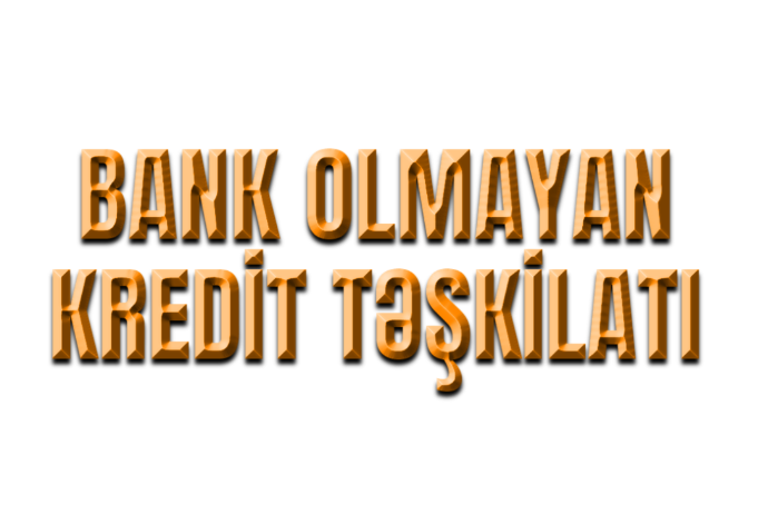 Azərbaycanda kapitalı ən az olan BOKT-lar – SİYAHI | FED.az