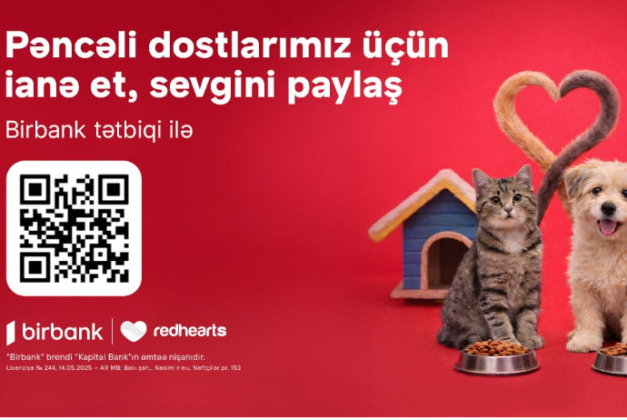 Aкция поддержки бездомных животных «Pəncəli Ürəklər» успешно продолжается | FED.az