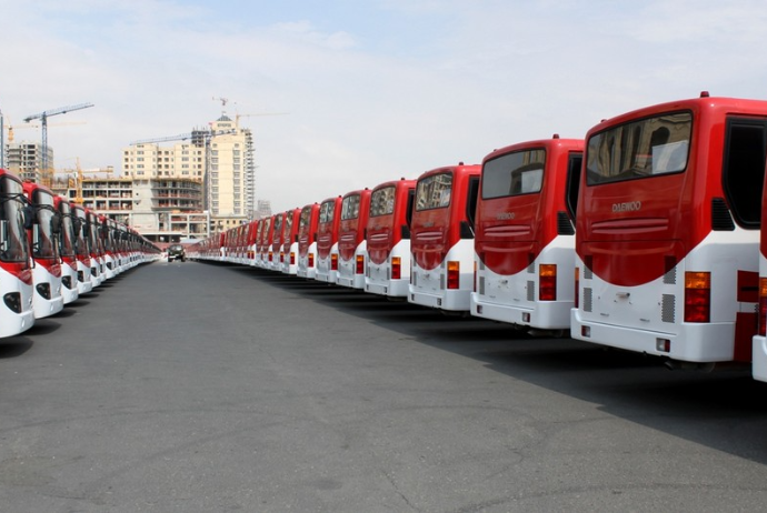 Bakıda bu marşrut xəttinə yeni avtobuslar verildi | FED.az