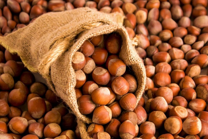 Azərbaycanın xaricə satdığı fındığın kiloqramı 3 manatdan çox - BAHALAŞIB - YENİ QİYMƏT | FED.az